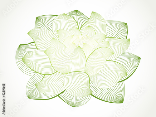 Fototapeta Naklejka Na Ścianę i Meble -  Vector lotus flower isolated on white