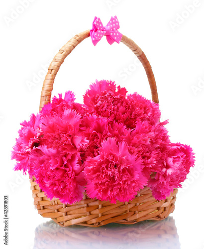 Beautiful pink carnations in basket isolated on white