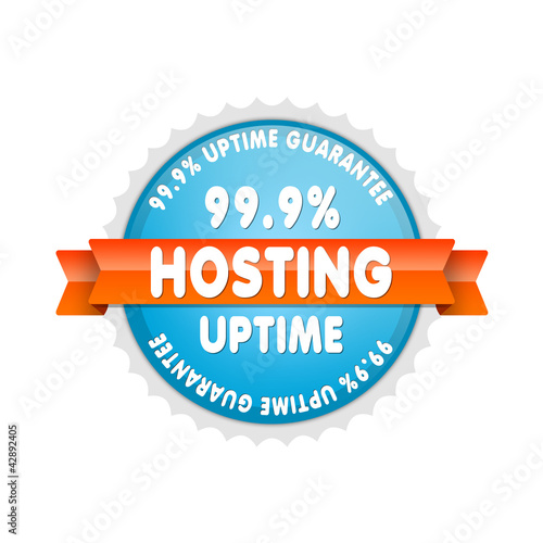 Hosting 99.9% Uptime