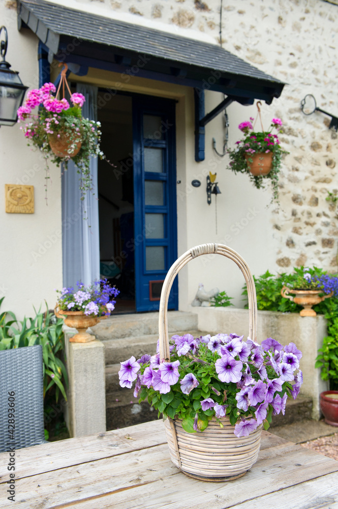 Fototapeta premium French garden