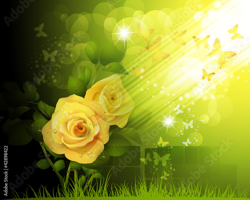 Background with roses and butterflies