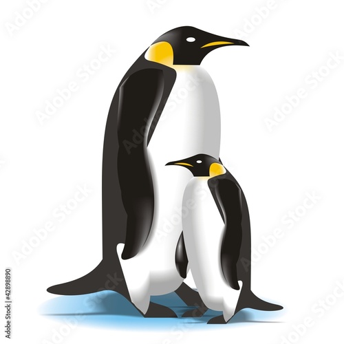 Pinguino_2