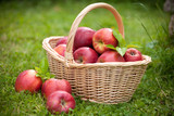 Fresh ripe apples in basket