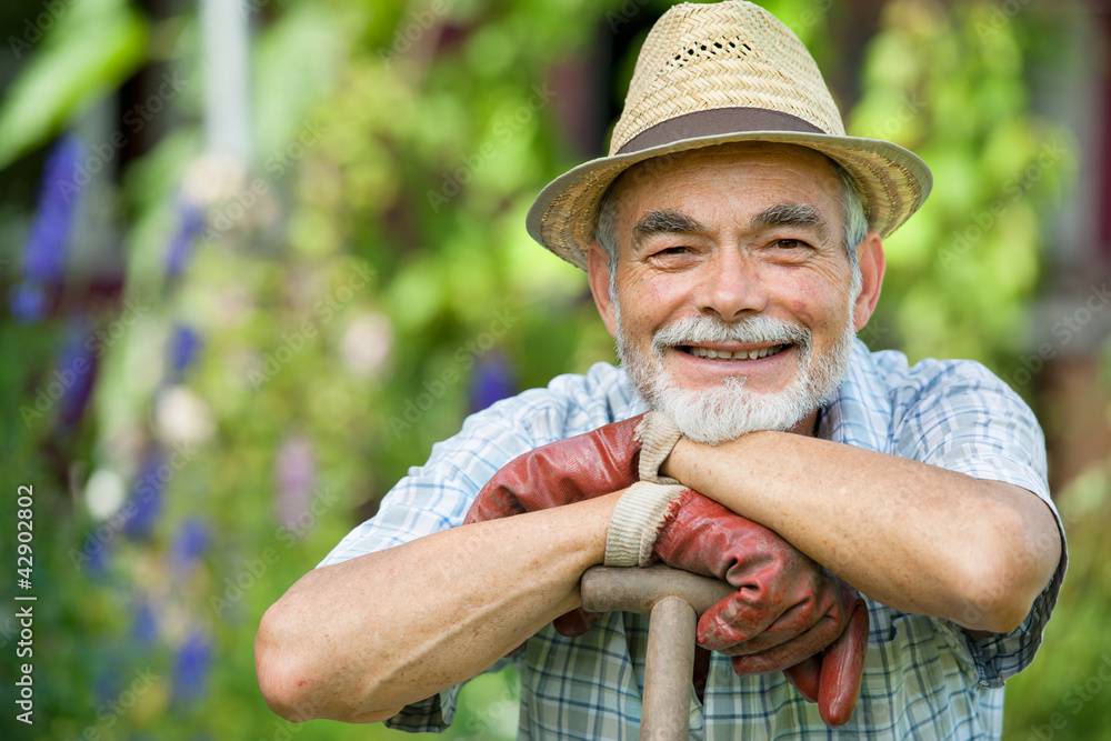 Fototapeta premium Senior gardener with a spade