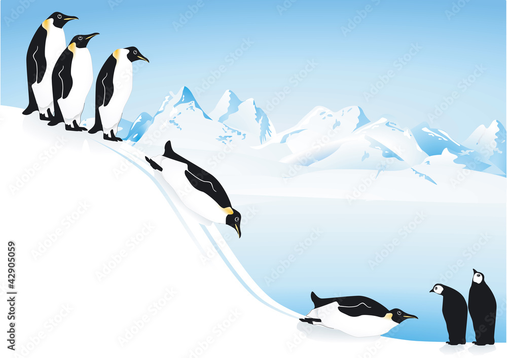 Naklejka premium Pinguine beim rutschen