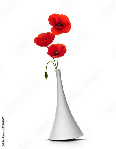 Fototapeta Naklejka Na Ścianę i Meble -  vase with three red poppies over white background