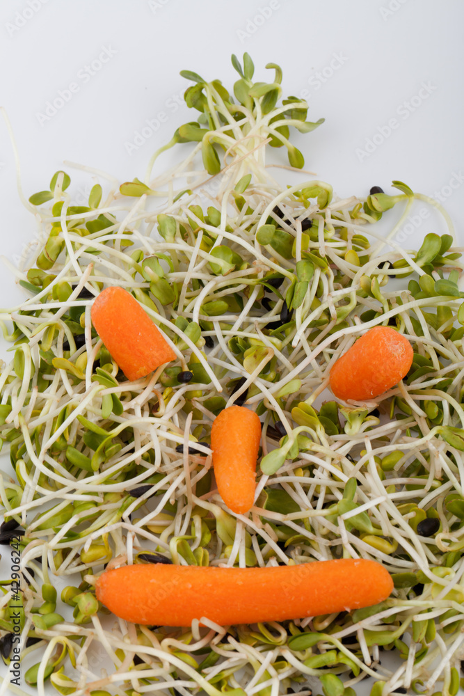 Fresh alfalfa sprouts and carrot isolated on white background Fresh alfalfa sprouts and carrot isolated on white background