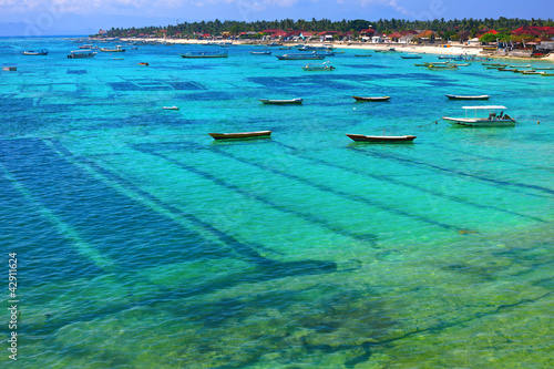Nusa lembongan seaweed farming