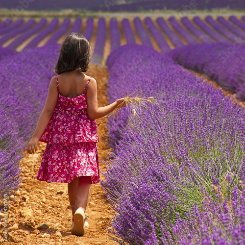 Provence - Enfant dans les champs de lavandes photo