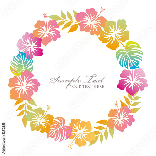 hibiscuses frame
