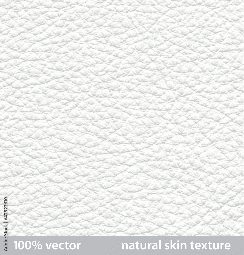 vector illustration. natural skin textures Stock Vector Adobe Stock