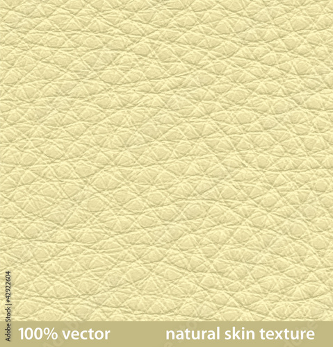 vector illustration. natural skin textures