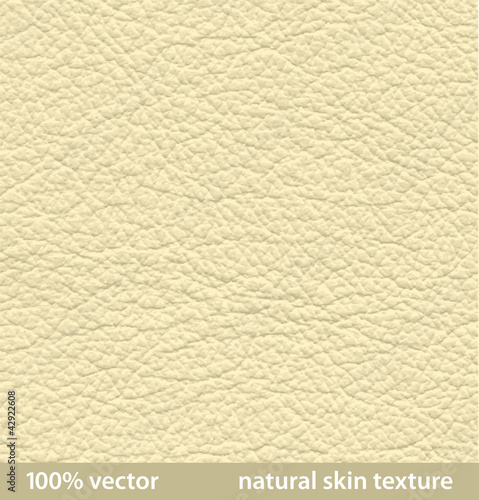 vector illustration. natural skin textures