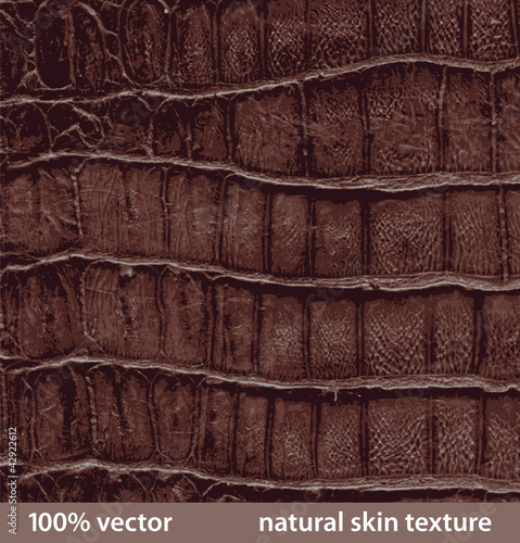 vector illustration. natural skin textures