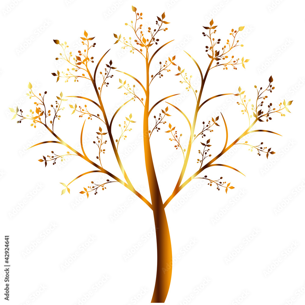 Olive Tree Olive Tree