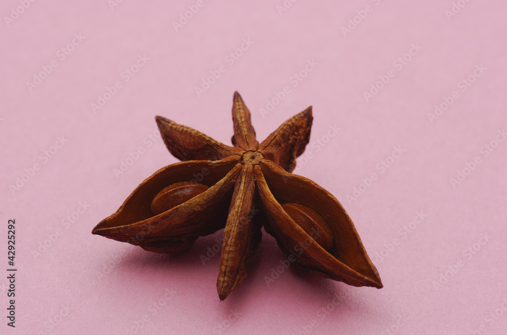 Anice stellato a forma di farfalla Anice stellato a forma di farfalla