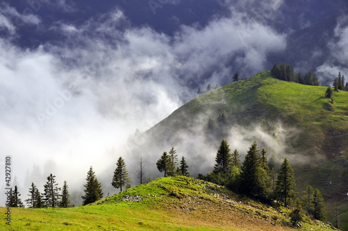 Alm im Nebel