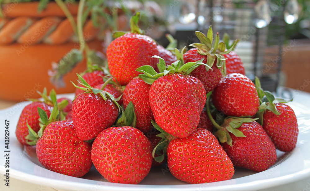 Bio: Frische Erdbeeren aus dem eigenen Garten! Bio: Frische Erdbeeren aus dem eigenen Garten!