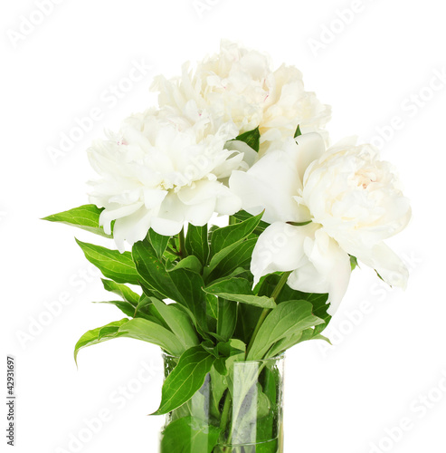 beautiful white peonies in glass vase with bow isolated on