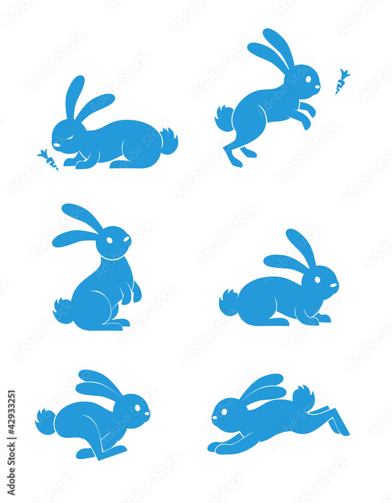 Rabbit Set Rabbit Set