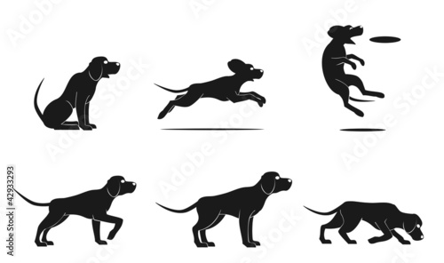 hound dog set
