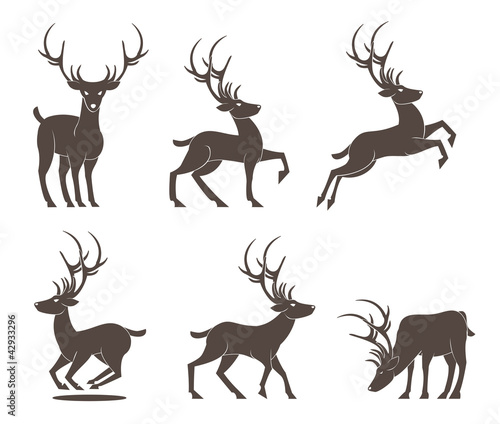 Deer Set vector