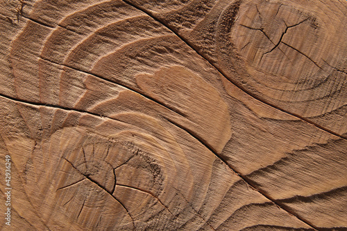 Wallpaper Mural texture - fond bois teinté Torontodigital.ca