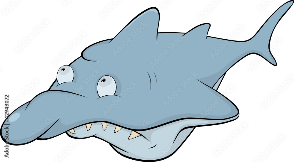 Shark. Cartoon