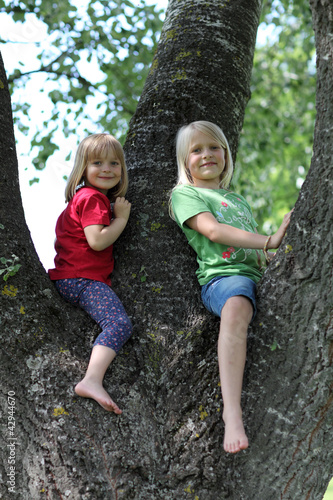 2 Kinder im Baum