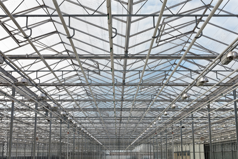 View at the roof of a greenhouse