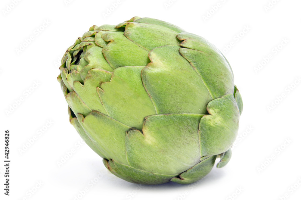 Fototapeta premium artichoke