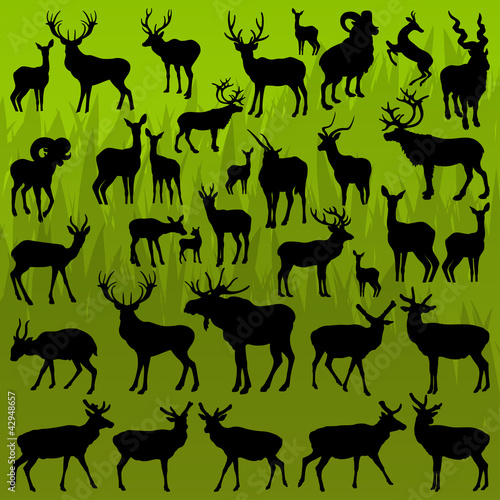 Deer, moose and mountain sheep horned animals vector