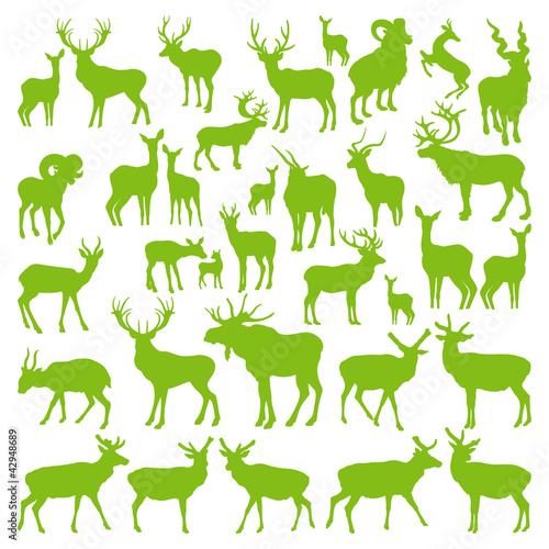 Deers collection silhouettes ecology vector