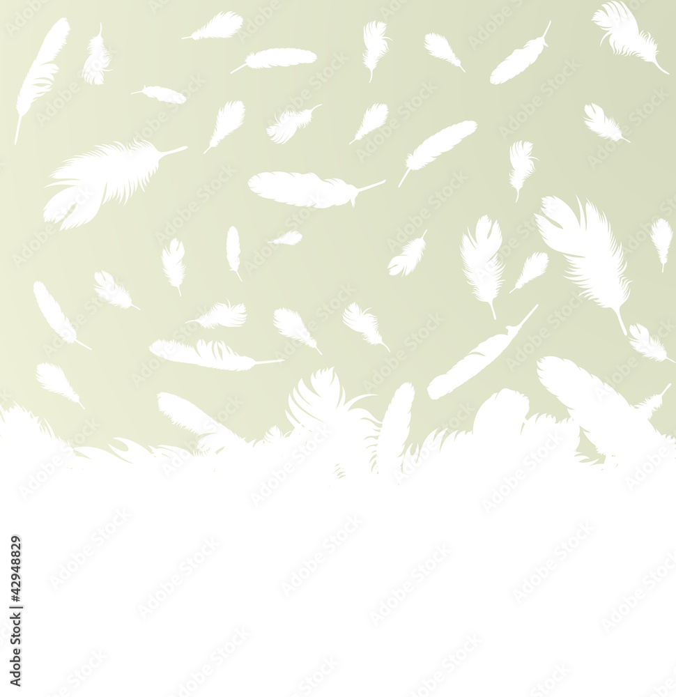 Feather vector background Feather vector background
