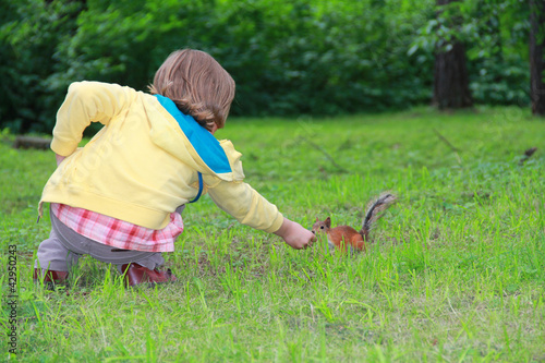 little girl and squirrel photo