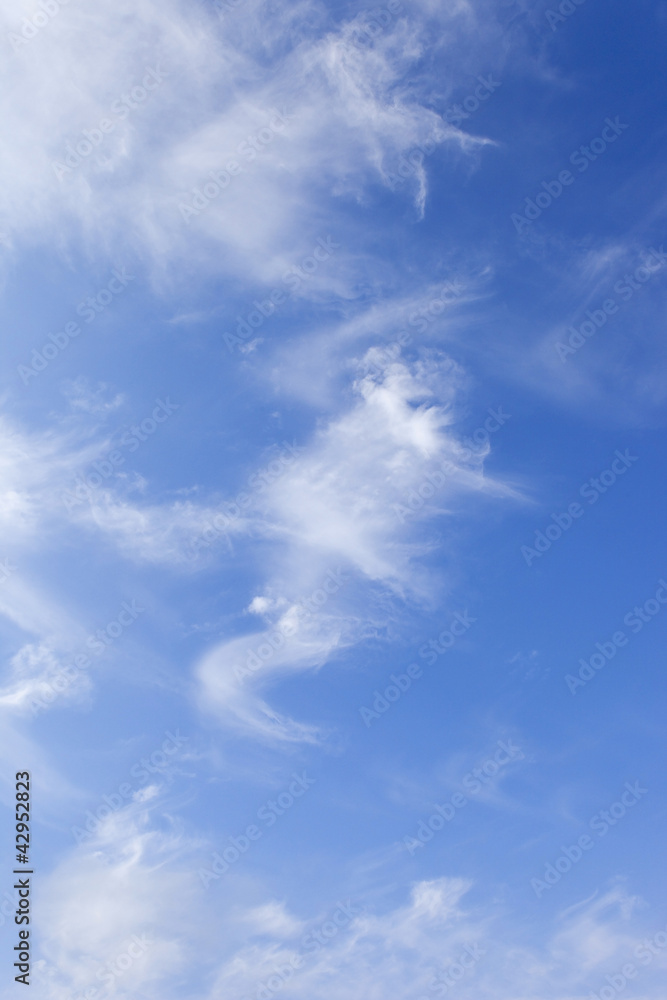 Fototapeta premium summer cloud background