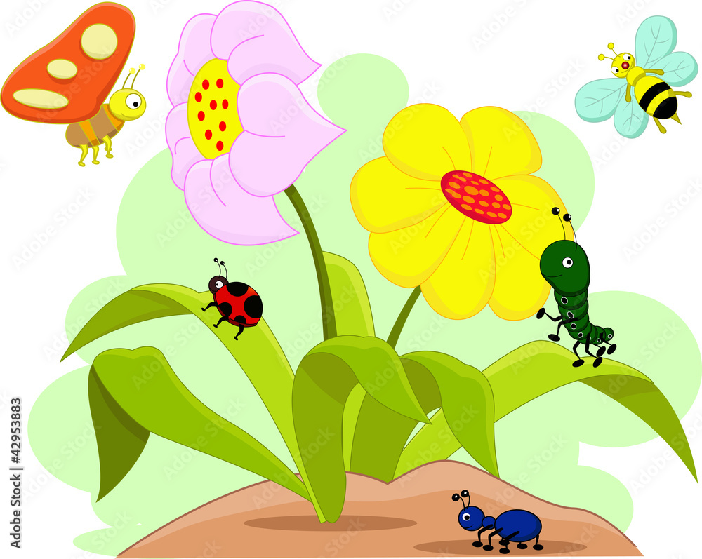 Insects family and flowers Insects family and flowers