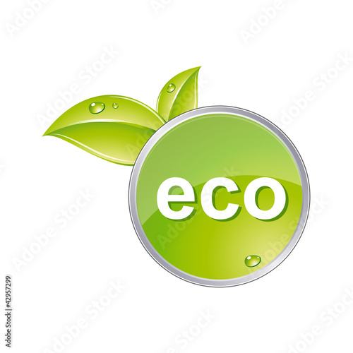 Eco glossy icon