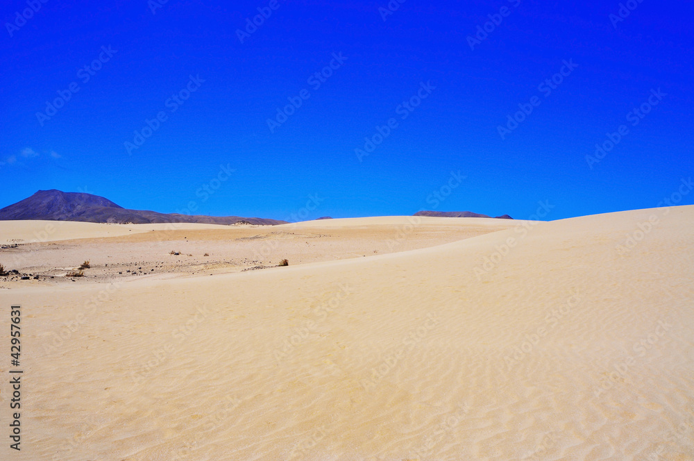 Natural Park of Dunes of Corralejo in Fuerteventura, Spain