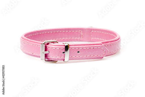 Billede på lærred pink leather collar