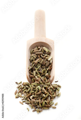 Spice Series - Fennel