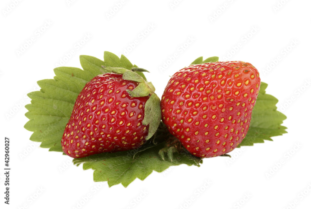 sweet ripe strawberries with leaves isolated on white sweet ripe strawberries with leaves isolated on white