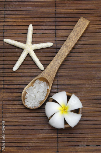 Set of frangipani with herbal salt in spoon and Starfish on mat