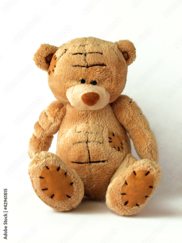 Obraz premium Teddy bear on a white background