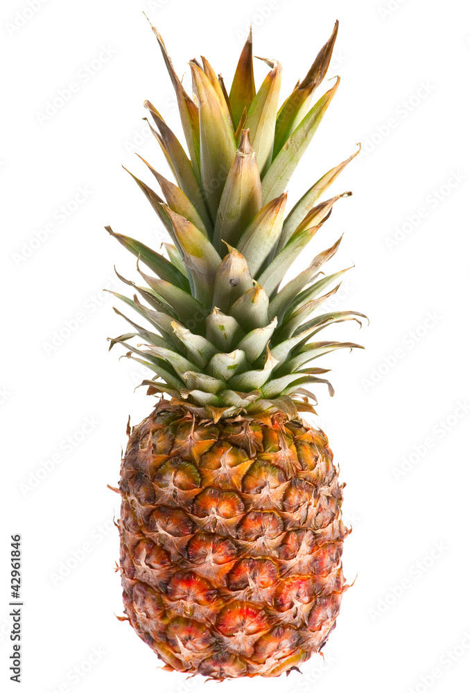 Fototapeta premium Pineapple fruit