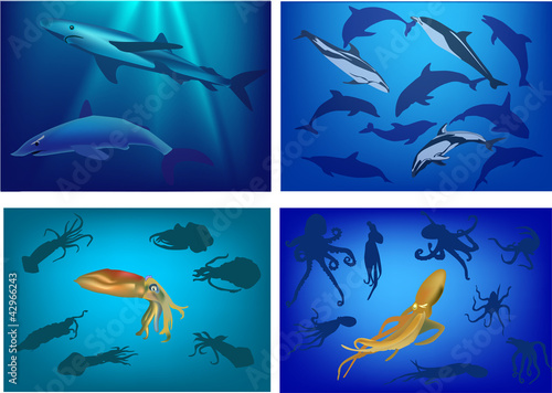 set of marine life composition