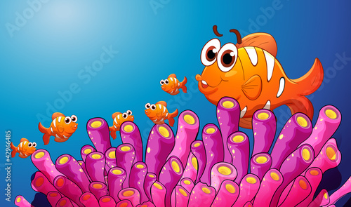group of fish in a blue water