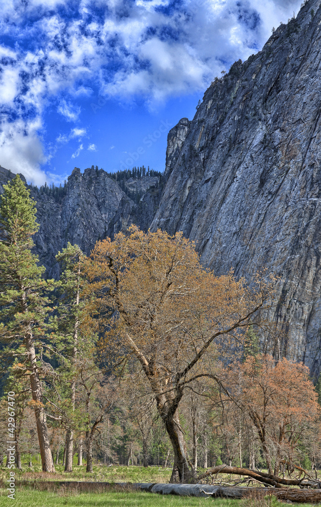 Yosemite National Park Yosemite National Park