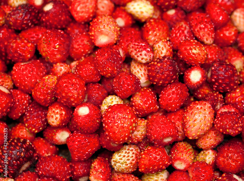 wild strawberries