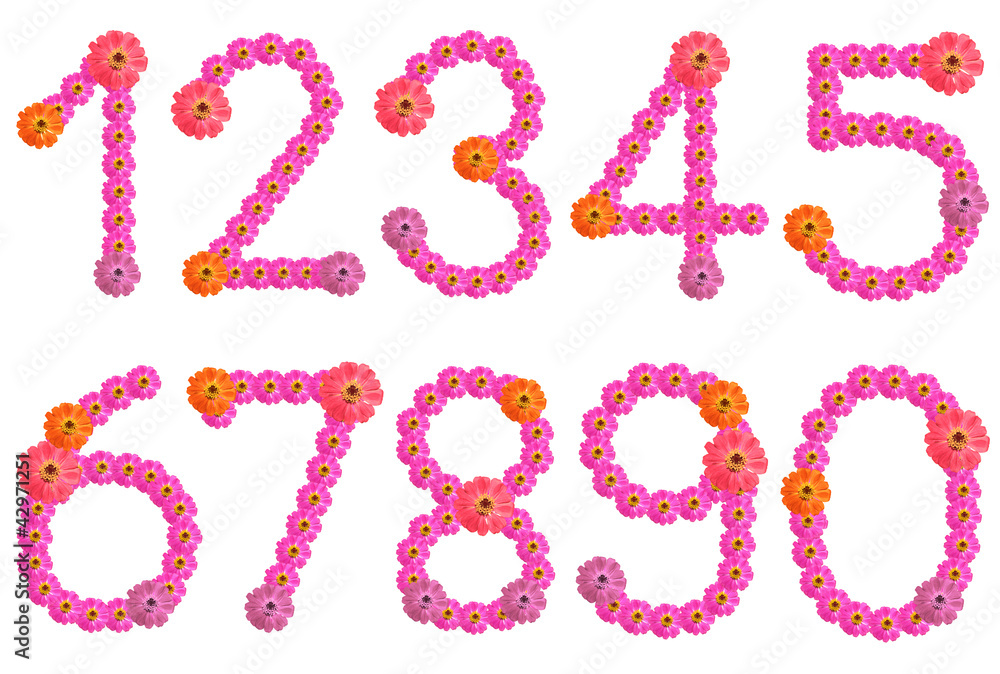 Set of flower numbers. Set of flower numbers.